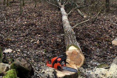 abattage et ouais.jpg